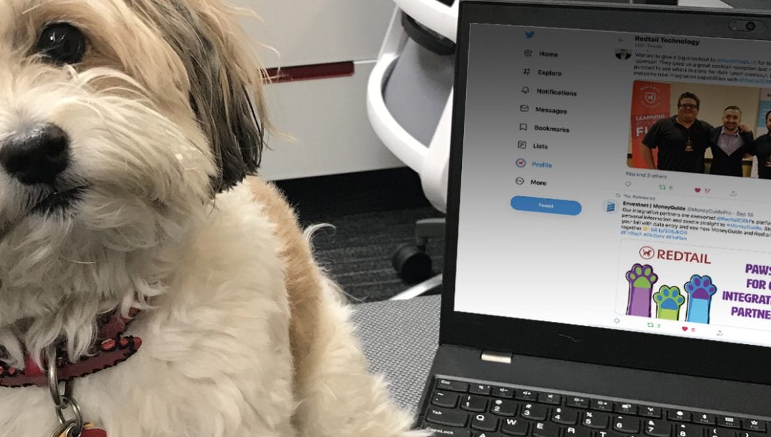 Dog sitting next to a laptop